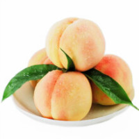 Peach / Apricot